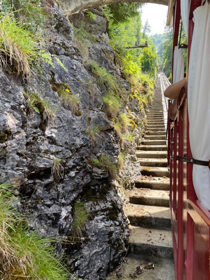 Charmant Chalet Mit See Und Bergsicht Hofstetten bei Brienz Exterior foto